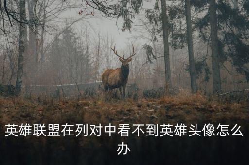 英雄联盟在列对中看不到英雄头像怎么办