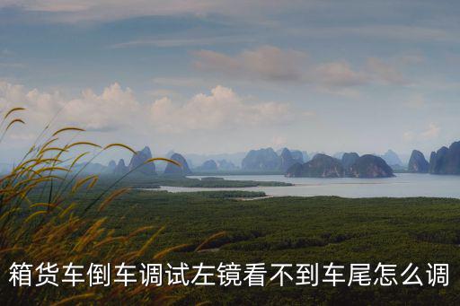 手游世界卡车模拟怎么调后视镜，欧洲卡车模拟2怎么调后视镜啊