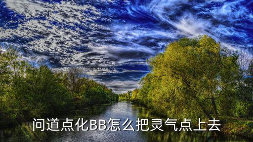 问道点化BB怎么把灵气点上去