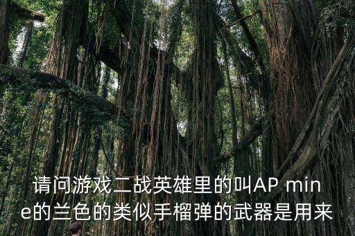 二战英雄手游怎么在训练当中换弹，请问游戏二战英雄里的叫AP mine的兰色的类似手榴弹的武器是用来