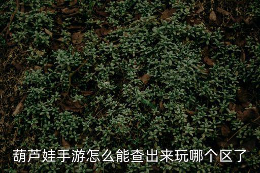 葫芦娃手游怎么能查出来玩哪个区了
