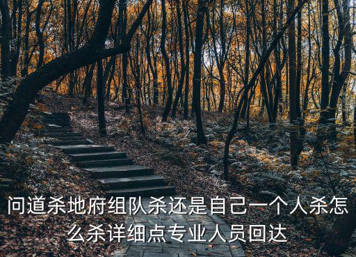 问道杀地府组队杀还是自己一个人杀怎么杀详细点专业人员回达
