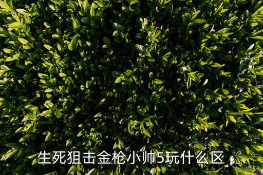 生死狙击金枪小帅5玩什么区