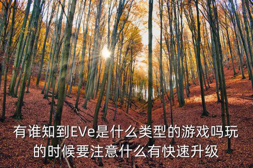 有谁知到EVe是什么类型的游戏吗玩的时候要注意什么有快速升级