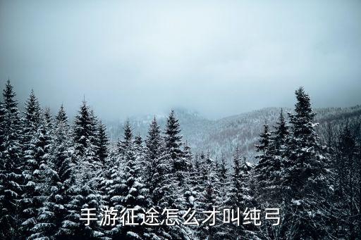 征途手游弓箭传说怎么获得，征途里面弓箭的英雄技能书是怎么来的