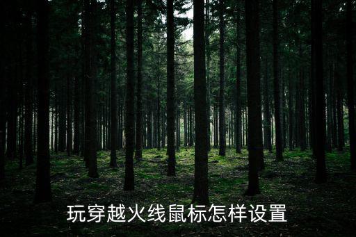 cf手游鼠标怎么设置最稳，玩穿越火线鼠标怎样设置