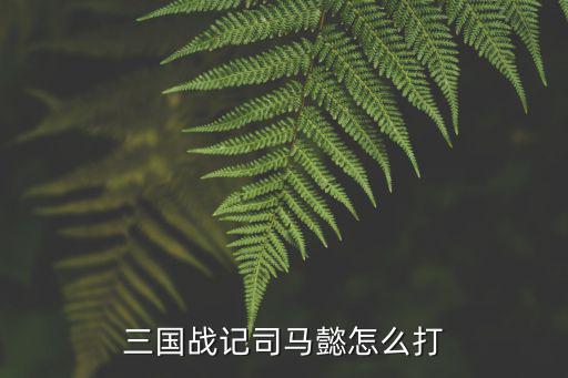 三国战记司马懿怎么打