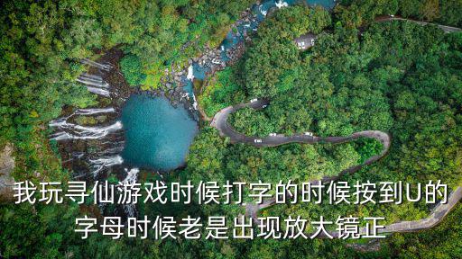 我玩寻仙游戏时候打字的时候按到U的字母时候老是出现放大镜正