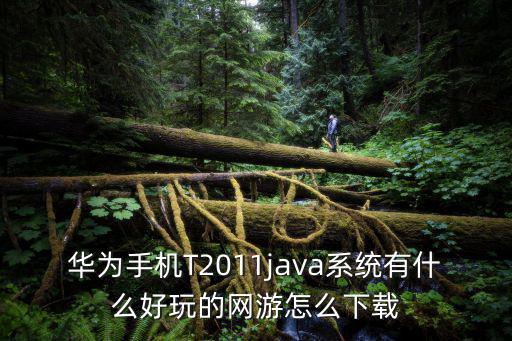 华为手机T2011java系统有什么好玩的网游怎么下载