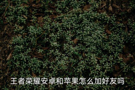 手游安卓区怎么找ios区好友，王者荣耀安卓和苹果怎么成为游戏好友在好友搜索里搜不到啊  搜