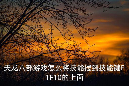 天龙八部手游蓬莱技能怎么转换，天龙八部游戏技能栏问题