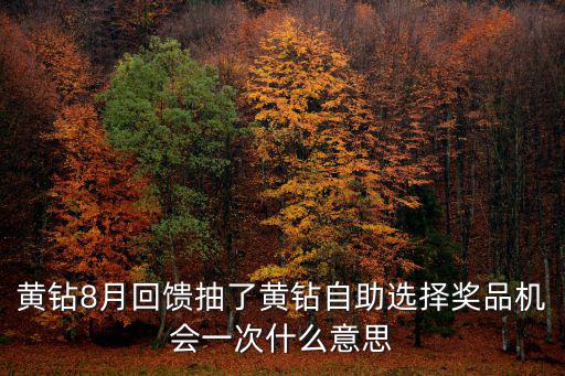 黄钻8月回馈抽了黄钻自助选择奖品机会一次什么意思
