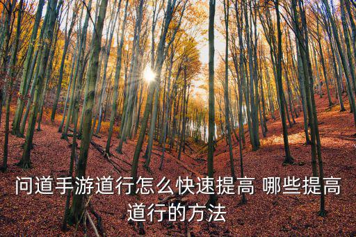 问道手游道行怎么快速提高 哪些提高道行的方法