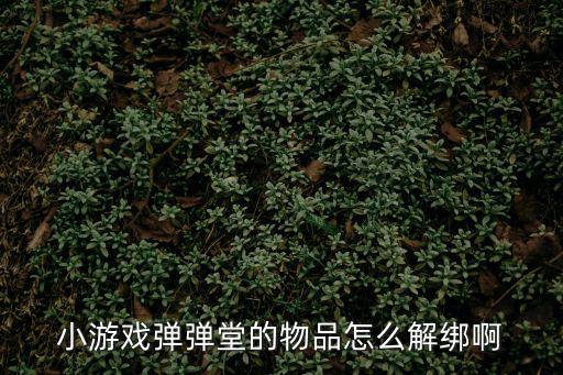 小游戏弹弹堂的物品怎么解绑啊