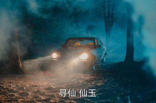 寻仙 仙玉