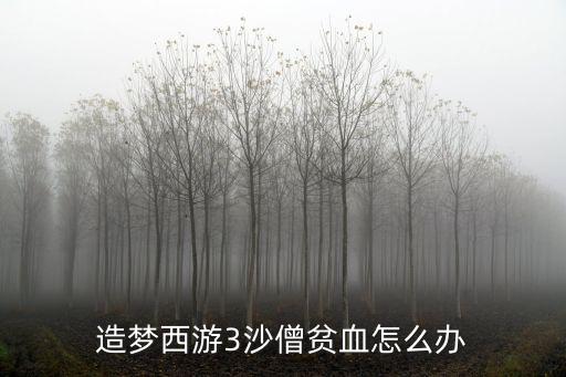 造梦西游3沙僧贫血怎么办