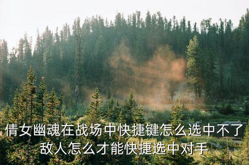 倩女幽魂在战场中快捷键怎么选中不了敌人怎么才能快捷选中对手