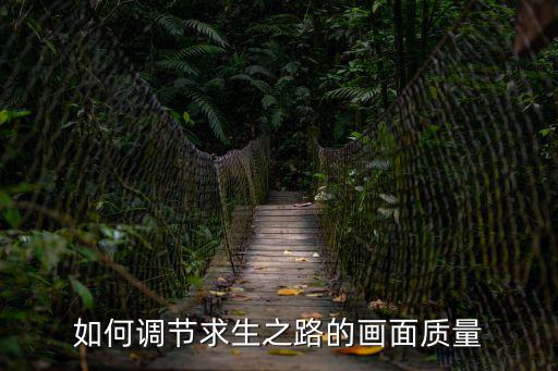 求生之路手游版怎么设置画质，如何调节求生之路的画面质量