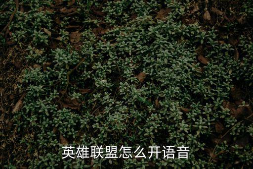 英雄联盟怎么开语音