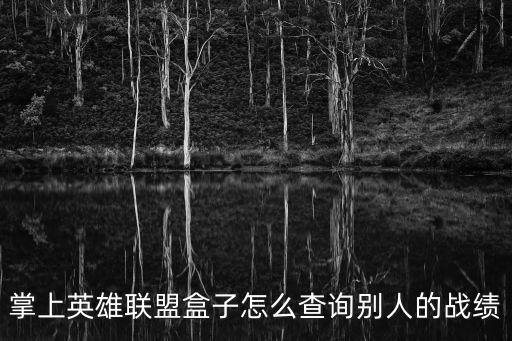 掌上英雄联盟盒子怎么查询别人的战绩