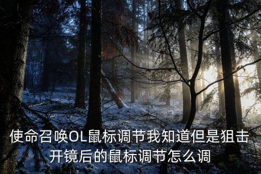 使命召唤OL鼠标调节我知道但是狙击开镜后的鼠标调节怎么调