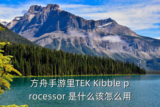 方舟手游里TEK Kibble processor 是什么该怎么用