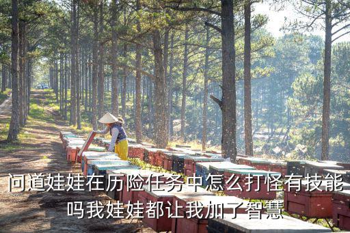 问道娃娃在历险任务中怎么打怪有技能吗我娃娃都让我加了智慧