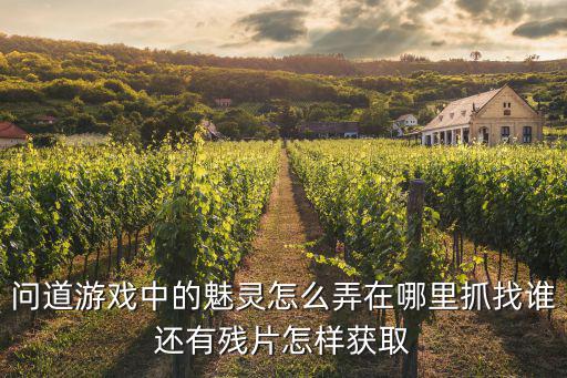 问道游戏中的魅灵怎么弄在哪里抓找谁还有残片怎样获取