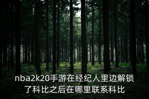 nba 2k20手游内怎么抢板，街头篮球手游篮板怎么抢
