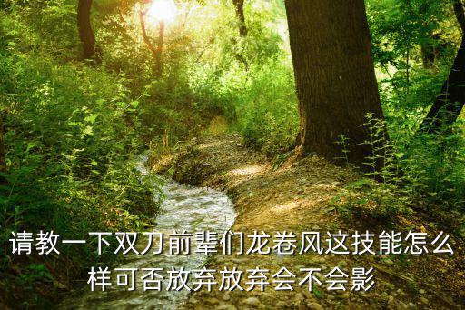 请教一下双刀前辈们龙卷风这技能怎么样可否放弃放弃会不会影
