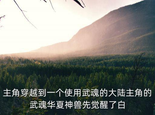玄中记手游怎么觉醒到饕餮武魂，主角穿越到一个使用武魂的大陆主角的武魂华夏神兽先觉醒了白