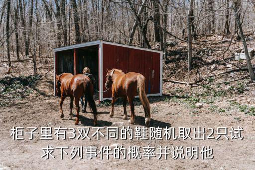 柜子里有3双不同的鞋随机取出2只试求下列事件的概率并说明他