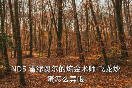 NDS 雷缪奥尔的炼金术师 飞龙炒蛋怎么弄哦