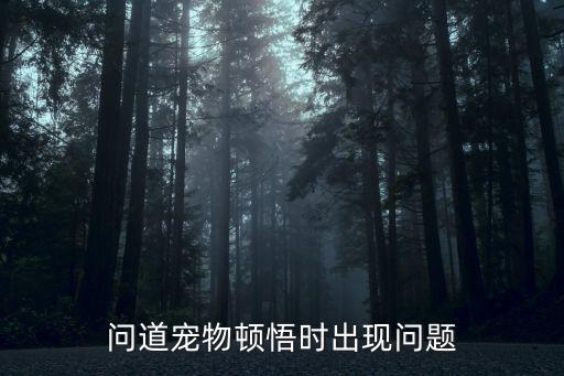 问道宠物顿悟时出现问题