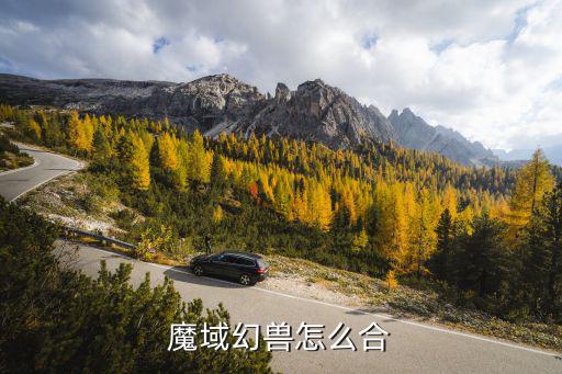 魔域幻兽怎么合