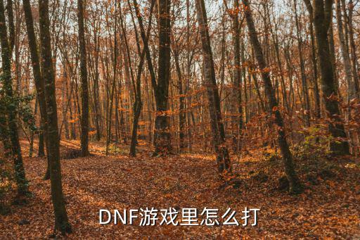 dnf手游地牢怎么打，DNF游戏里怎么打