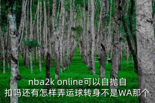 nba2k online可以自抛自扣吗还有怎样弄运球转身不是WA那个