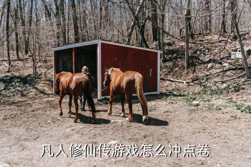 凡人修仙传手游七日榜单怎么冲，凡人修仙传游戏怎么冲点卷