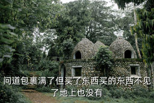 问道手游背包满了东西怎么没有了，问道包裹满了但买了东西买的东西不见了地上也没有