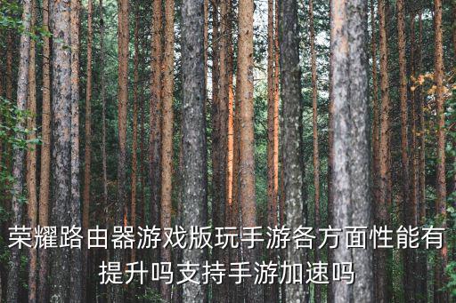 荣耀路由器游戏版玩手游各方面性能有提升吗支持手游加速吗