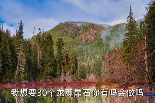 我想要30个龙魂晶石你有吗会做吗