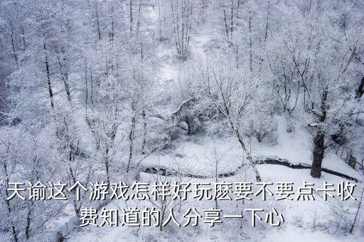 天谕这个游戏怎样好玩麽要不要点卡收费知道的人分享一下心