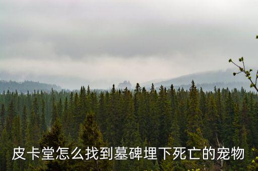 皮卡堂怎么找到墓碑埋下死亡的宠物