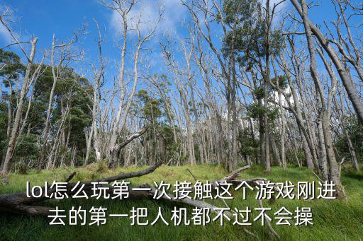 金铲铲手游不会lol怎么玩，我新手想问LOL怎么玩求大神帮助