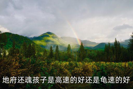 地府还魂孩子是高速的好还是龟速的好