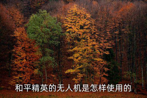 和平精英的无人机是怎样使用的