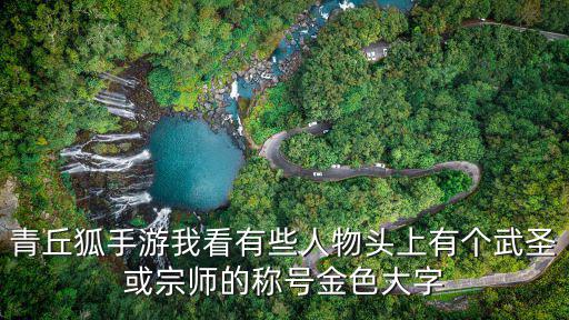 青丘狐手游我看有些人物头上有个武圣或宗师的称号金色大字