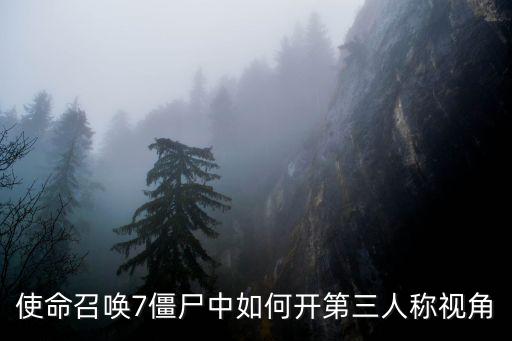 使命召唤7僵尸中如何开第三人称视角
