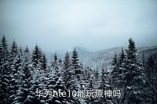 华为nte10能玩原神吗