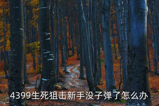 4399生死狙击新手没子弹了怎么办